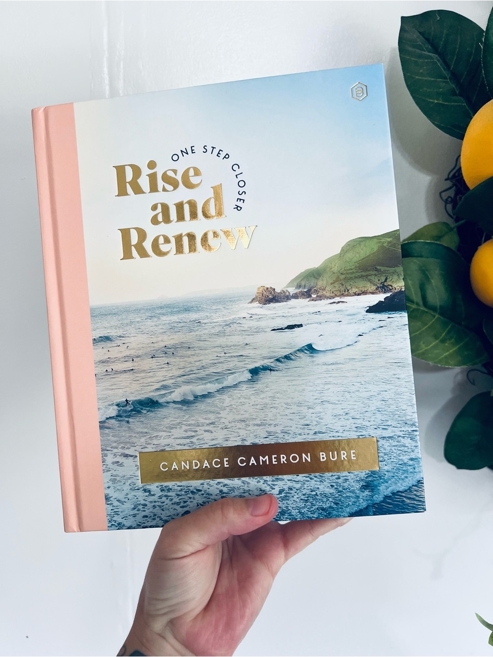 Rise and Renew Christian devotion women’s book